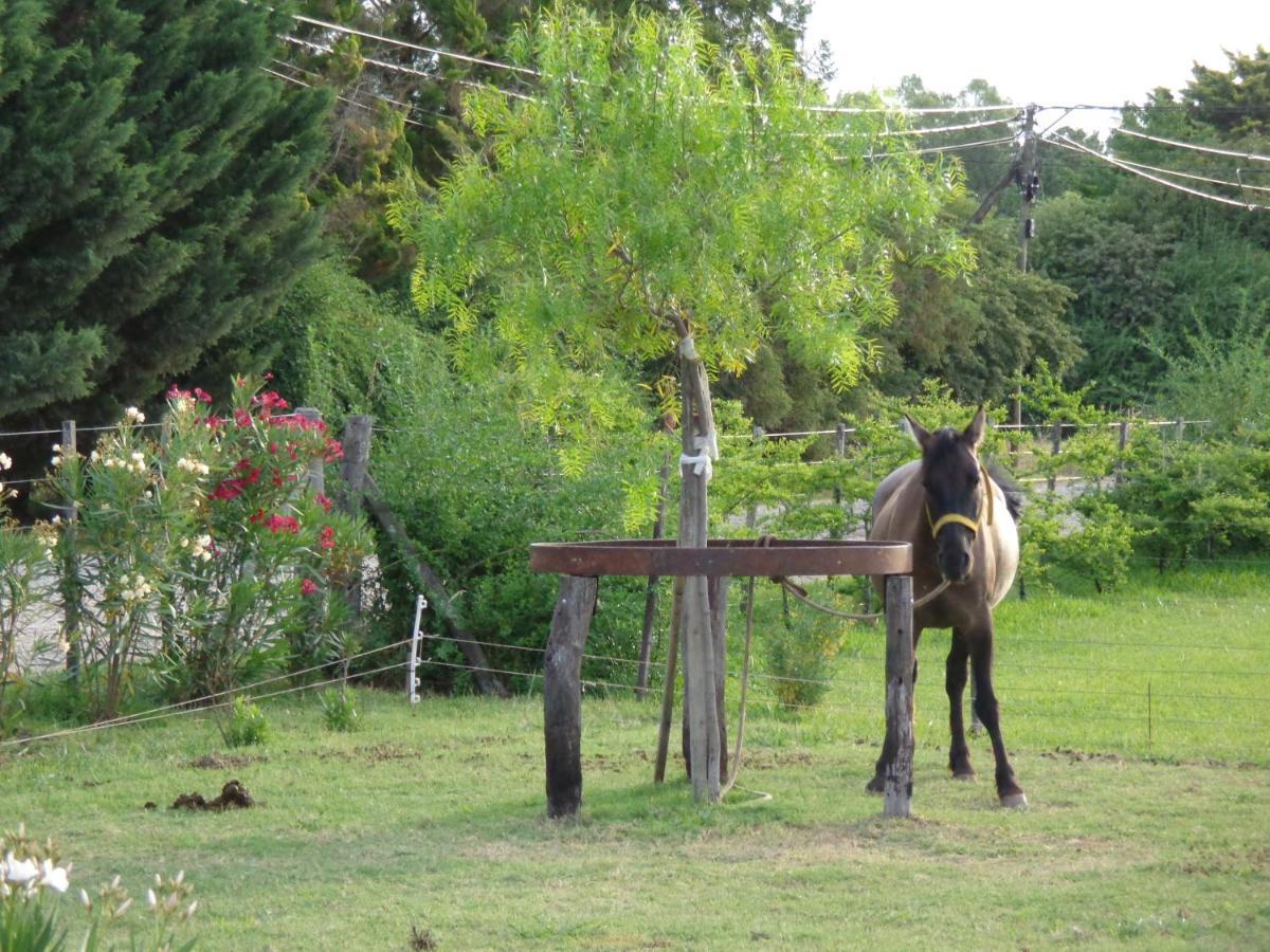 El Sendero - Gueiraldes B&B San Antonio de Areco Eksteriør billede