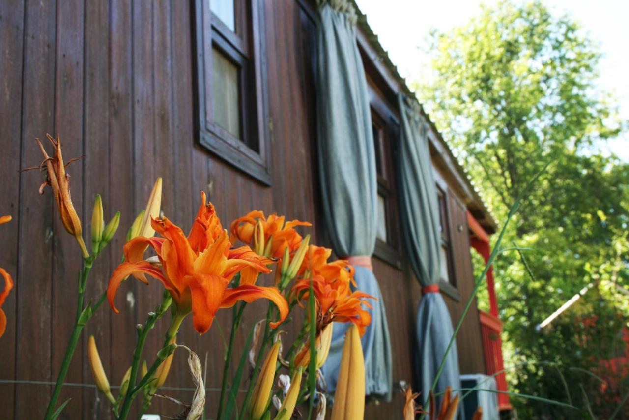 El Sendero - Gueiraldes B&B San Antonio de Areco Eksteriør billede